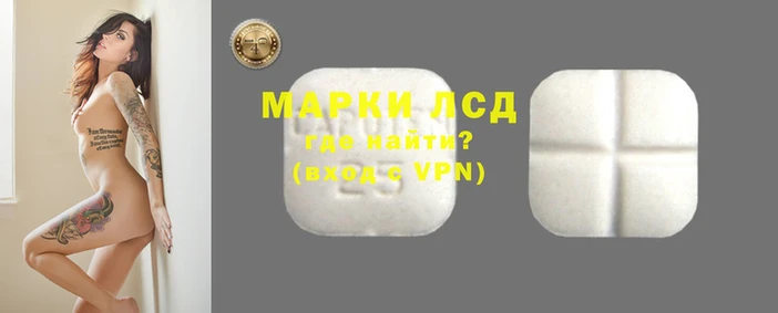 PSILOCYBIN Абинск