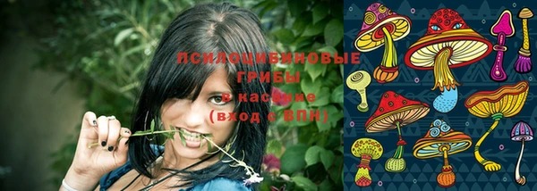 PSILOCYBIN Абинск