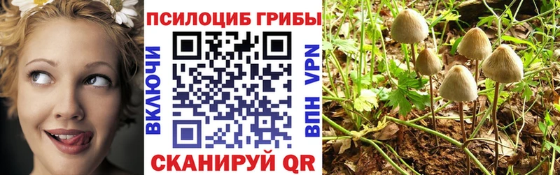 Галлюциногенные грибы ЛСД  omg ТОР  Нестеровская 