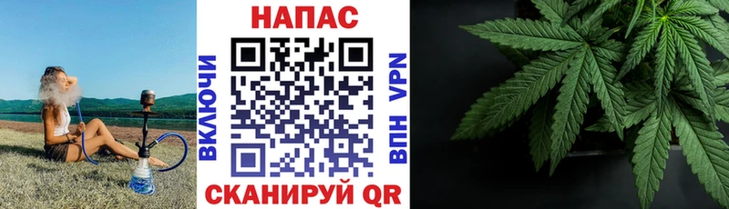 Шишки марихуана Ganja Нестеровская